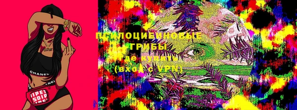 кокс Алзамай