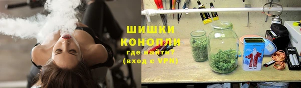 прущие грибы Бердск