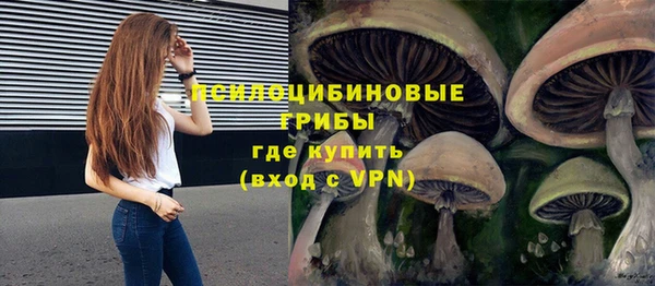кокс Алзамай