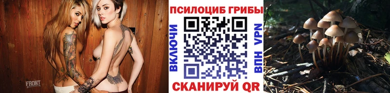 Галлюциногенные грибы Magic Shrooms  Бикин 